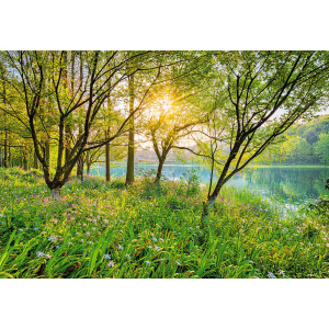 Фотообои бумажные Komar Spring Lake (Весеннее озеро NG) 368х254 см (8-524) лучшая модель в Николаеве