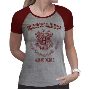 Футболка ABYstyle Harry Potter XL Сіра (ABYTEX503XL) ТОП в Миколаєві