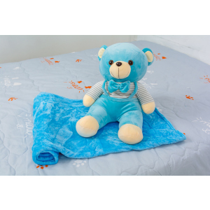 Плед дитячий MirSon №1052 Bear Blue 100х160 (2200003094039) ТОП в Миколаєві