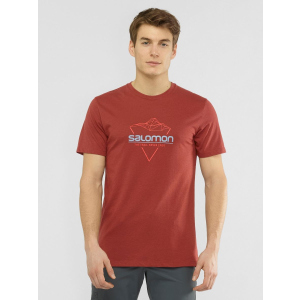 Футболка Salomon Blend Logo Tee M LC1408500 S Коричнева (0193128345792) в Миколаєві