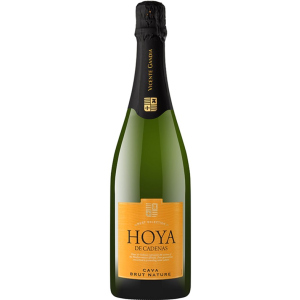 Вино игристое Hoya de Cadenas Cava Brut Nature белое брют 0.75 л 11.5% (8410310605994) лучшая модель в Николаеве