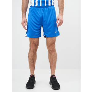 Спортивні шорти Mizuno High-Kyu Short V2EB700122 L (5054698344941) в Миколаєві