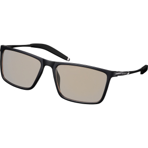 Окуляри комп'ютерні 2E Gaming Anti-blue Glasses Black-Black (2E-GLS310BK) ТОП в Миколаєві