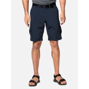 Шорти Jack Wolfskin Canyon Cargo Shorts 1504201-1010 48 (4055001473199) ТОП в Миколаєві