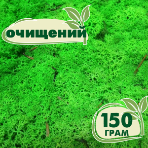 Очищений стабілізований мох ягель Nordic moss Зелений трав'яний світлий 150 грам ТОП в Миколаєві