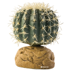 Растение Hagen Barrel Cactus Small (015561229807) ТОП в Николаеве