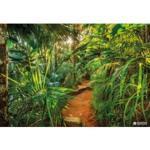 Фотообои бумажные Komar Jungle Trail 368х254 см 8 сегментов (8-989) в Николаеве