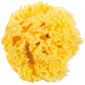 Натуральна морська губка Ok Baby Honeycomb Sea Sponge розмір 12 (38471200) в Миколаєві