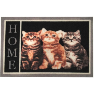 купити Придверний килимок Izzihome Magic Home Uc Kedi 40х60 (2200000551061)