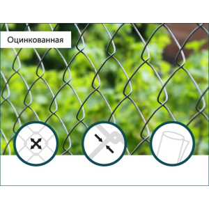 Сетка Рабица оцинкованная Сітка Захід 60х60/3,0мм 1,5м/10м в Николаеве